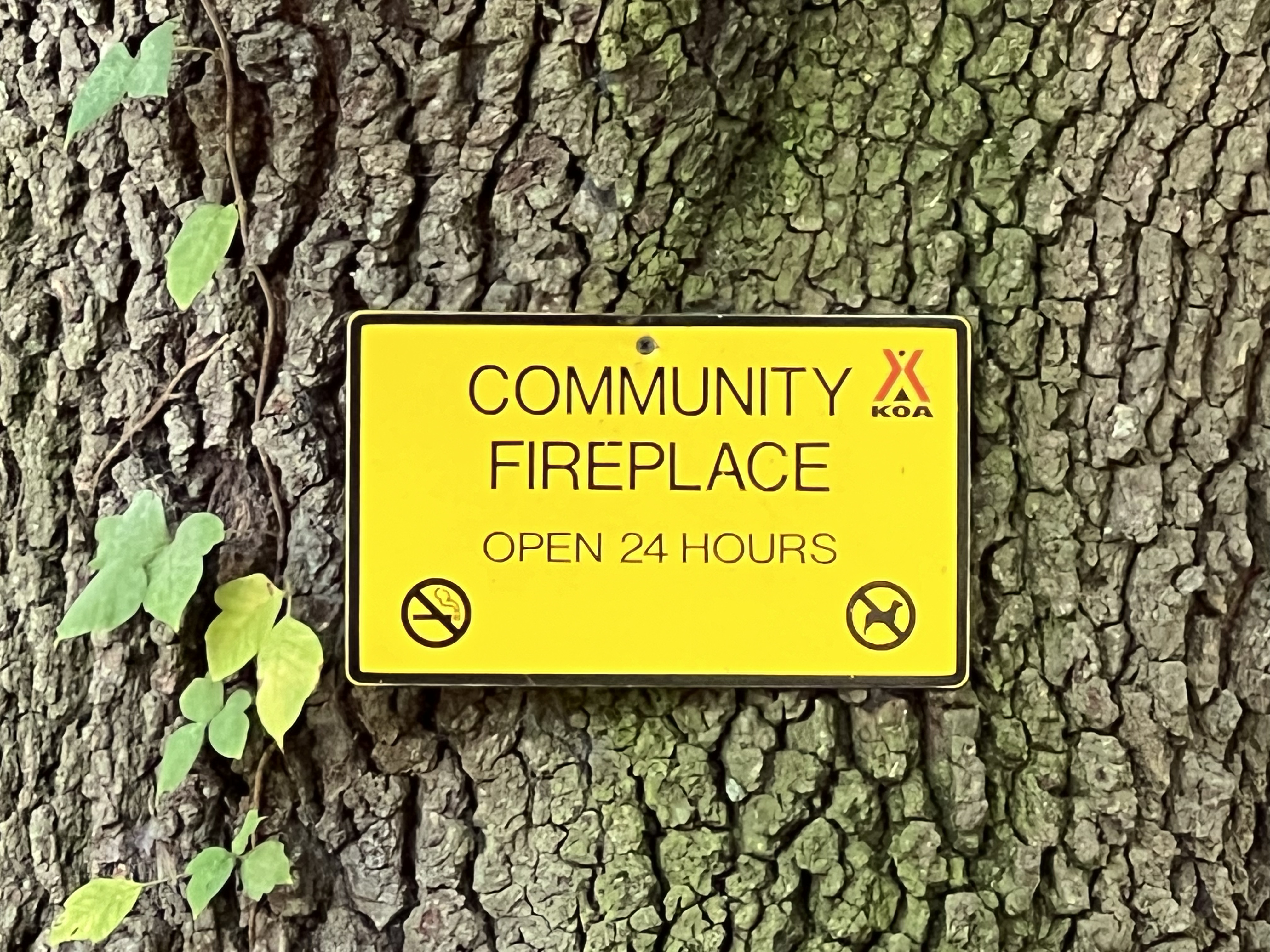 ./2024/10 - Myrtle Beach/IMG_2705.jpg